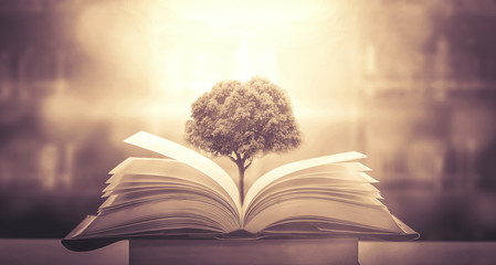 关于“舍得”的名言