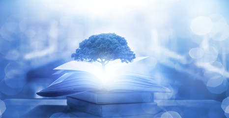 关于中国古典诗词意境之美的文章