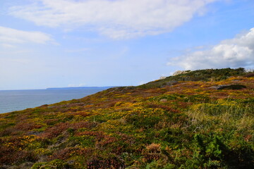 关于“舍得”的名言
