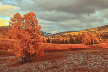 关于日语发音的规则