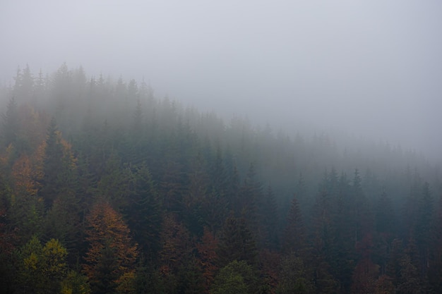 关于日语发音的规则