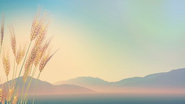 关于春节民间习俗