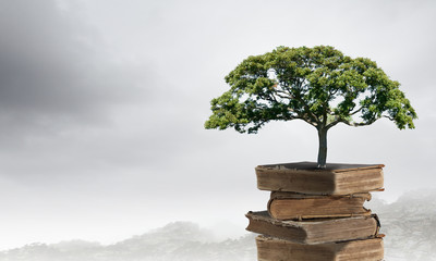 关于桥的谚语集锦