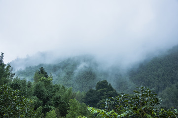关于春节民间习俗